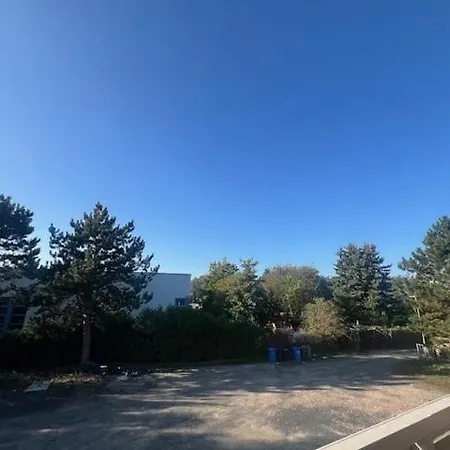 Daytona Monteur Rodenbach (Main-Kinzig)