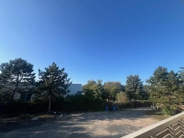 Daytona Monteur Rodenbach (Main-Kinzig)